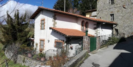 Rustico casale, MOLAZZANA (LU)