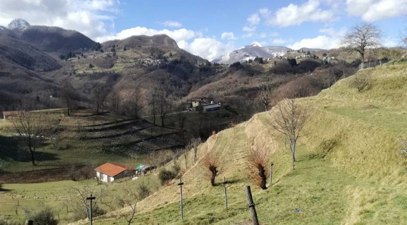 Vista panoramica del terreno