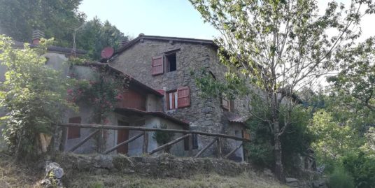 Terratetto, FABBRICHE DI VERGEMOLI (LU)