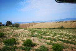 vista del podere - view of the farm