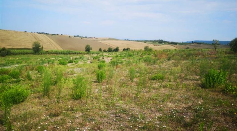 vista del podere - view of the farm