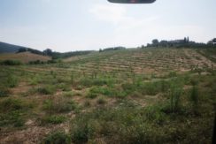 vista del podere - view of the farm