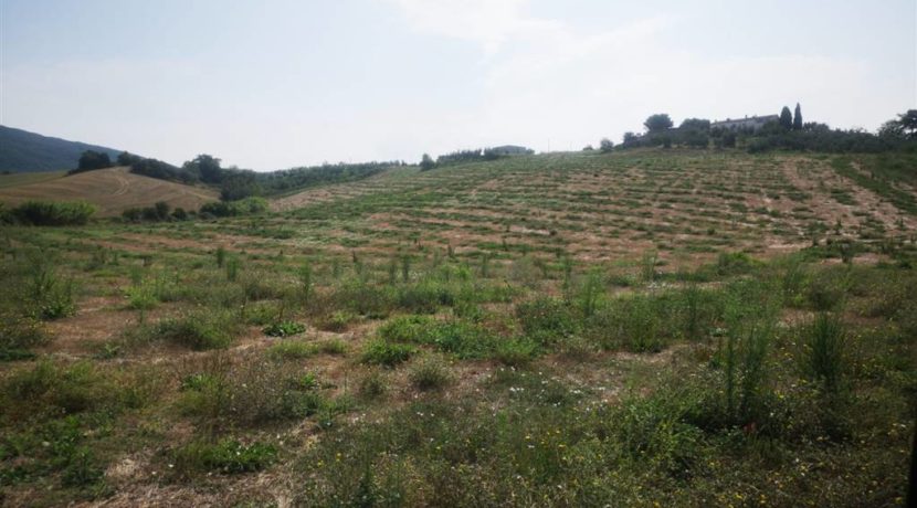 vista del podere - view of the farm