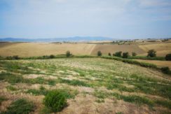 vista del podere - view of the farm