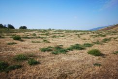 vista del podere - view of the farm