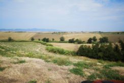 vista del podere - view of the farm