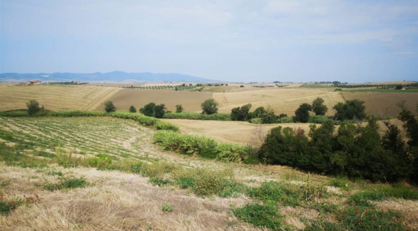 vista del podere - view of the farm