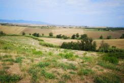 vista del podere - view of the farm