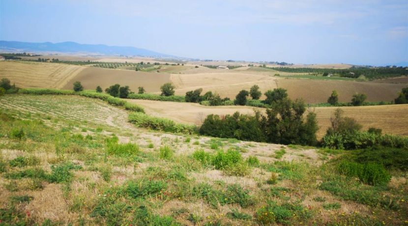 vista del podere - view of the farm