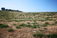 vista del podere - view of the farm