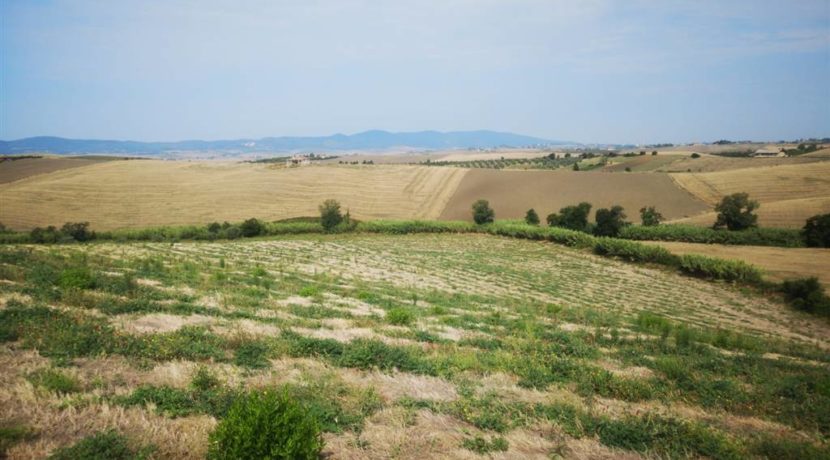 vista del podere - view of the farm