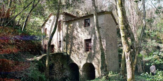 Rustico casale, CAMAIORE (LU)